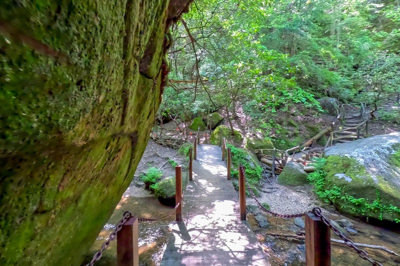 Swinging Bridge