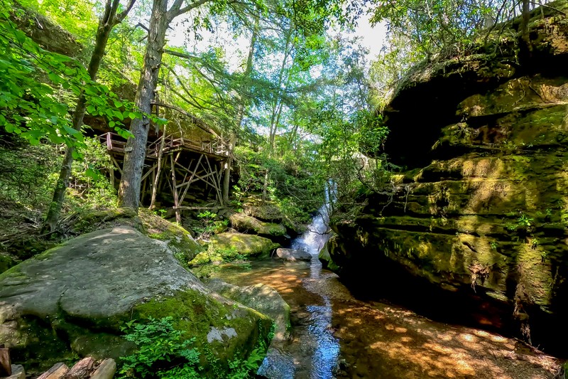 Dismals Canyon