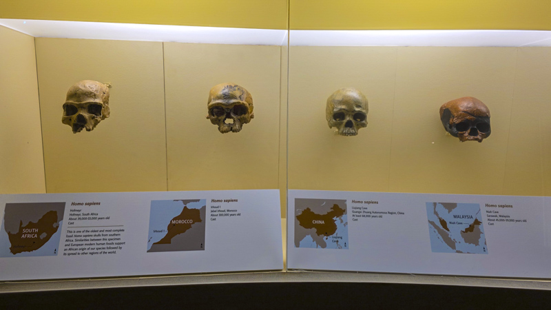 National Museum of Natural History