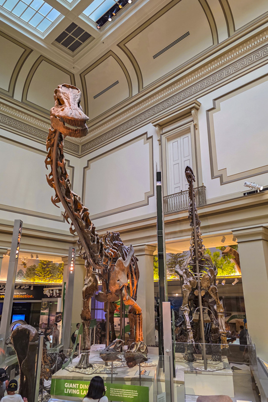 National Museum of Natural History