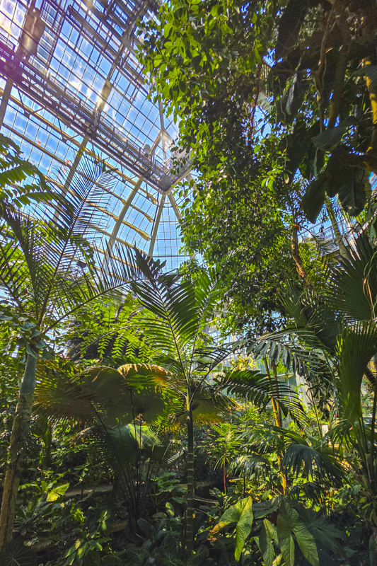 United States Botanic Garden