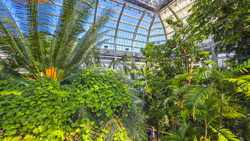United States Botanic Garden