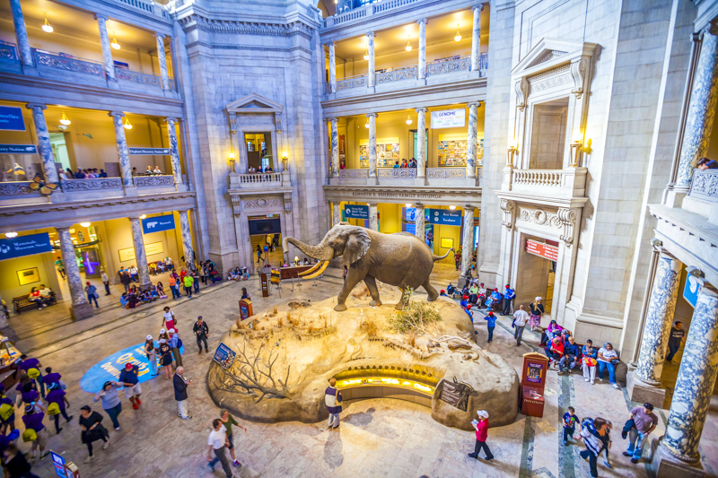 National Museum of Natural History