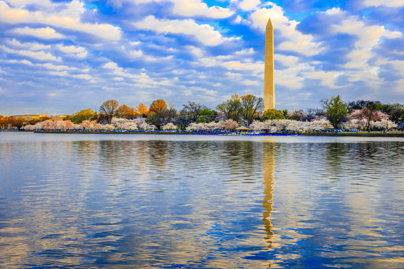 Vue sur Tidal Basin & Washington Monument