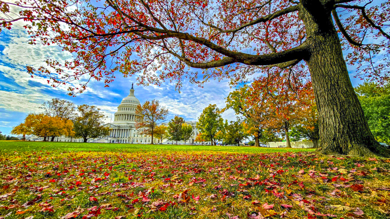 U.S. Capitol Grounds