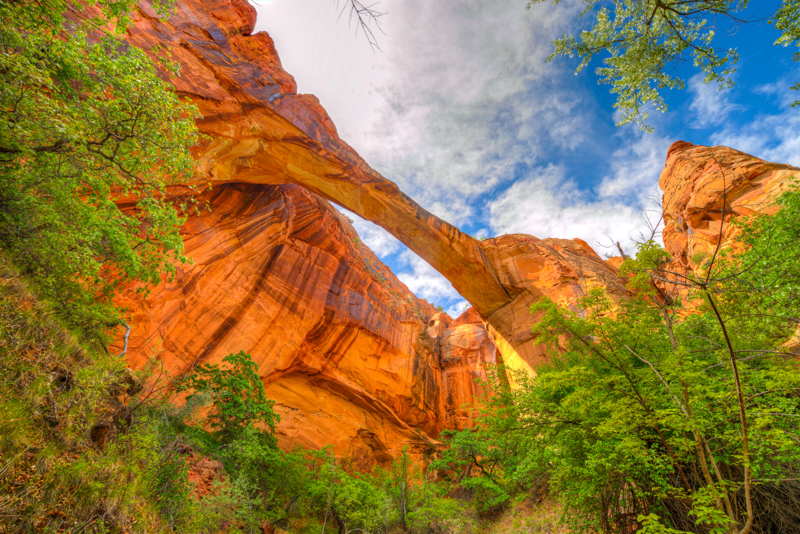 Escalante Natural Bridge