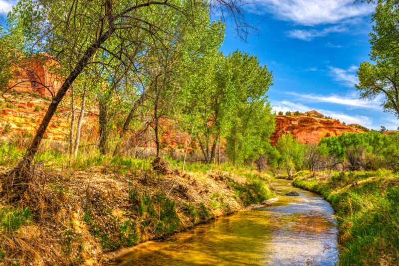 Escalante River