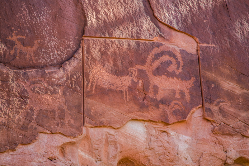 Big Horn Panel