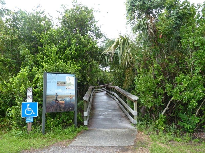 Pa-hay-okee Overlook