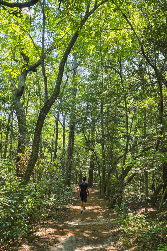 Bald Cypress Trail