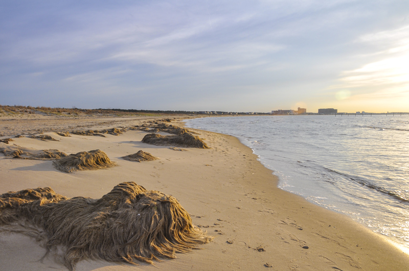 First Landing Beach