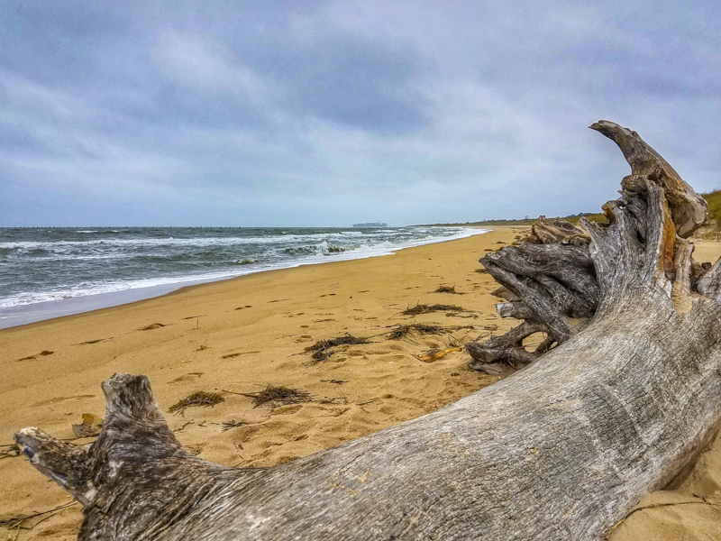 First Landing Beach
