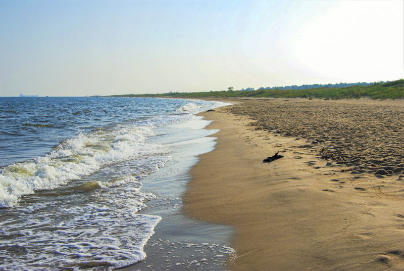 First Landing Beach