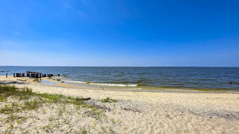 Losing Ground Scenic View