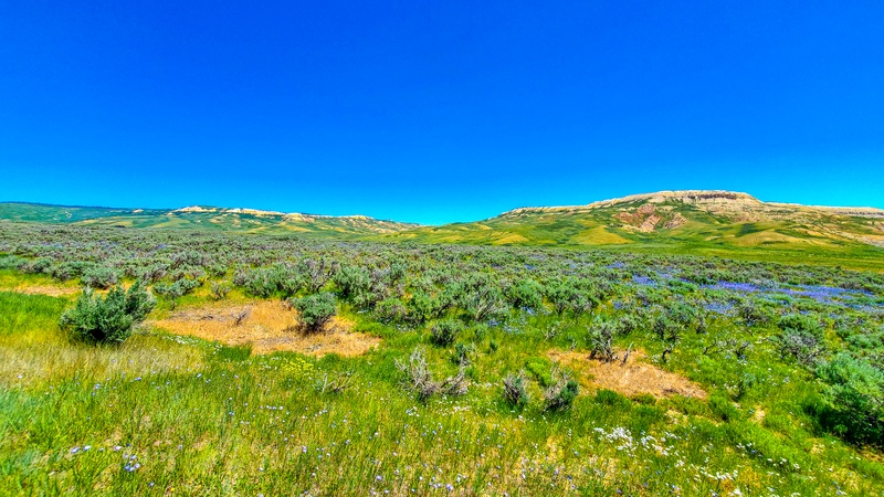 Scenic Drive