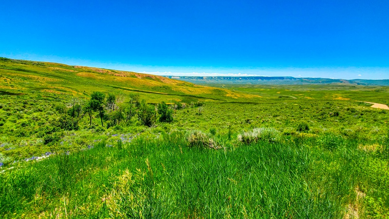 Fossil Butte Nature Trail - Fossil Butte National Monument - 005