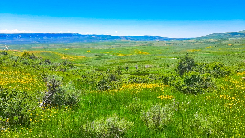 Fossil Butte Nature Trail