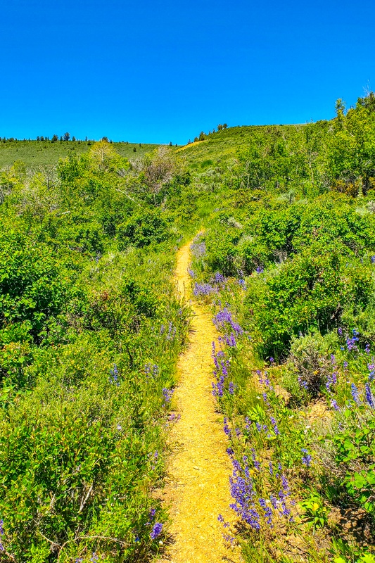 Fossil Butte Nature Trail