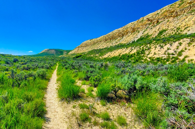 Historic Quarry Trail