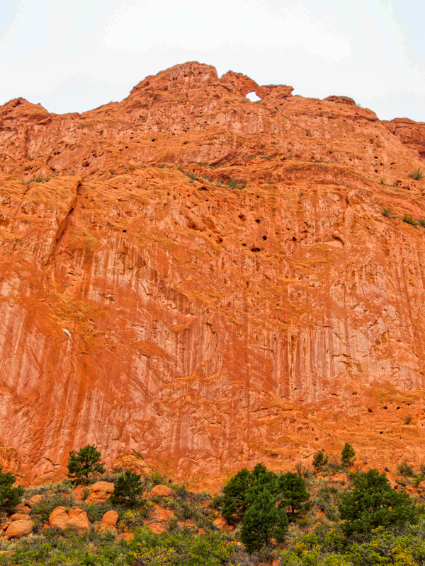 Kissing Camels