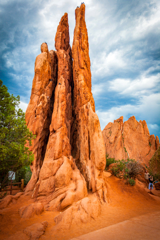 Three Graces