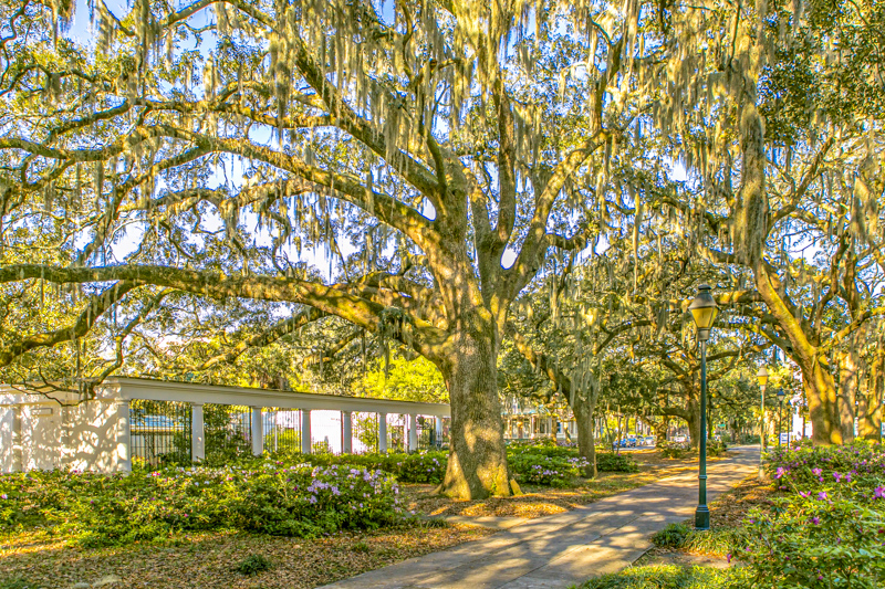 Forsyth Park
