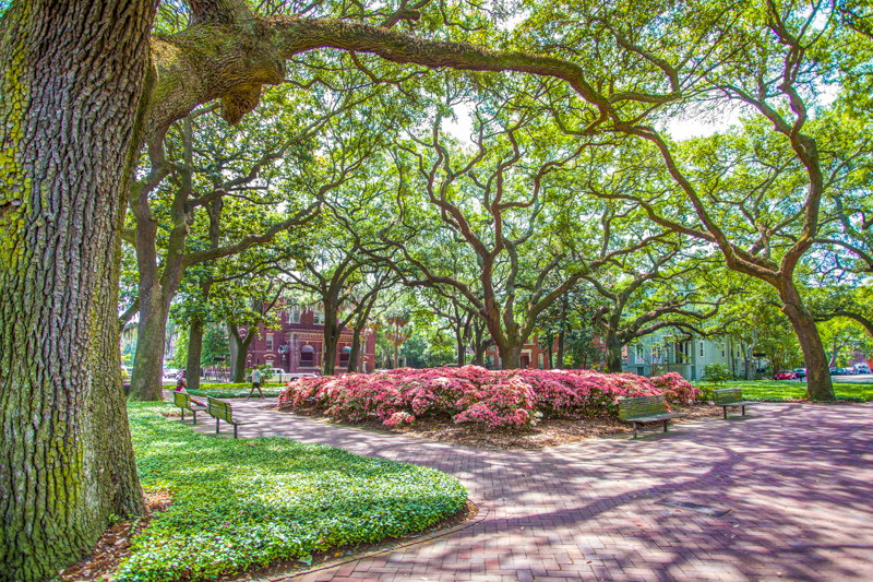 Pulaski Square
