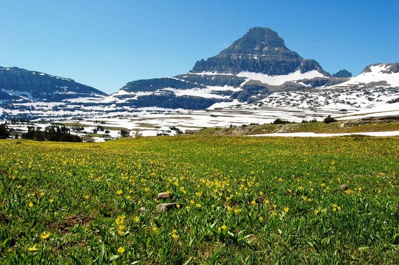 Logan Pass