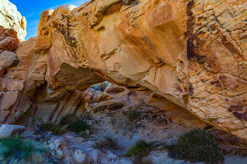 Doodlebug Arch
