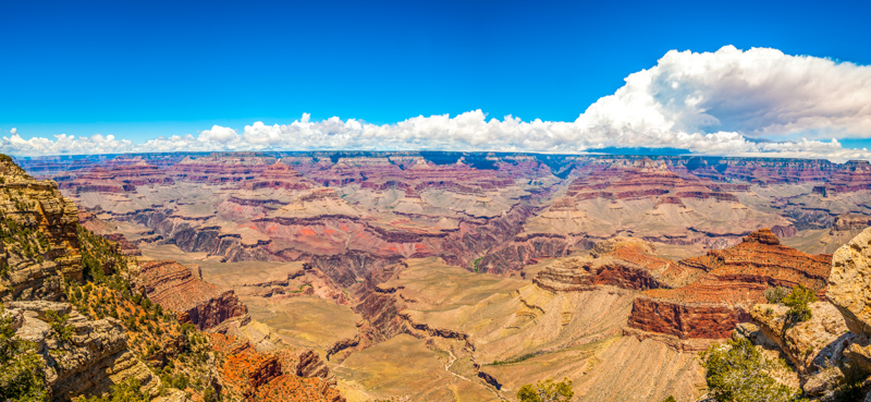 Rim Trail