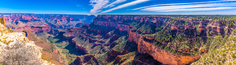 Trailview Overlook