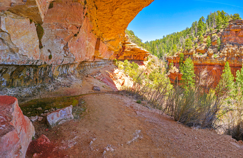 Cliff Spring Trail