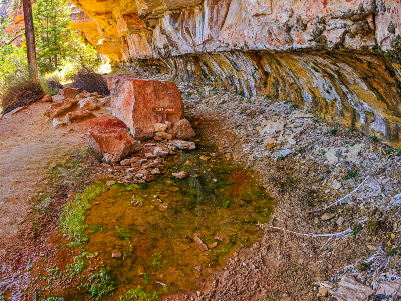 Cliff Spring Trail