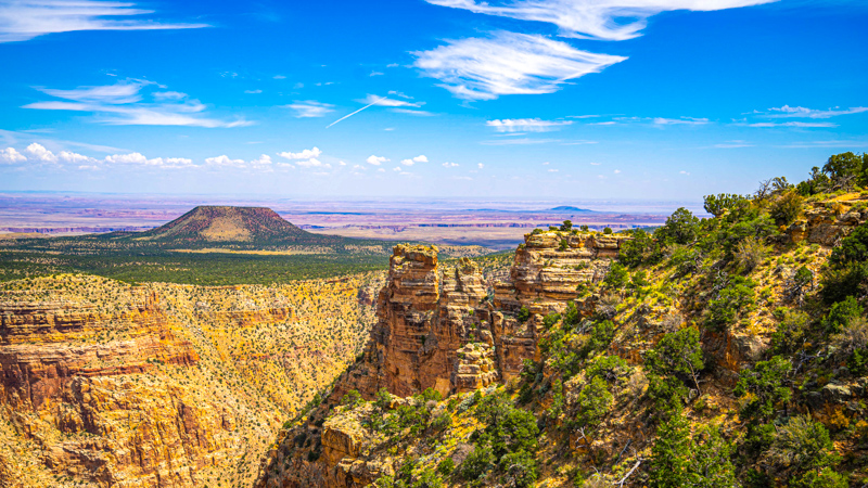 Desert View