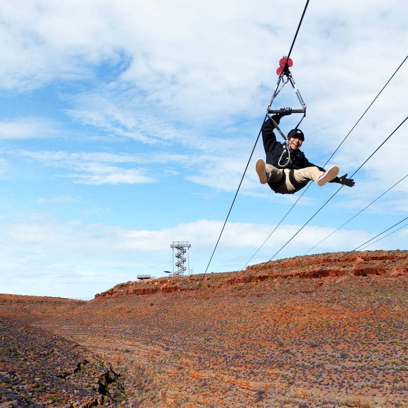 Zipline Adventure