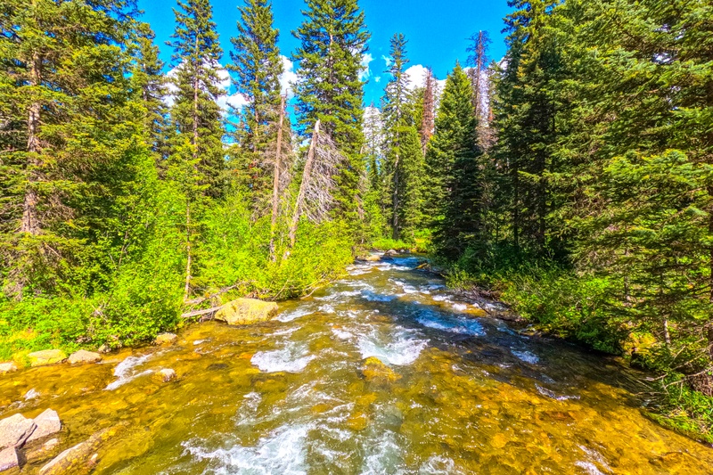 Cascade Canyon