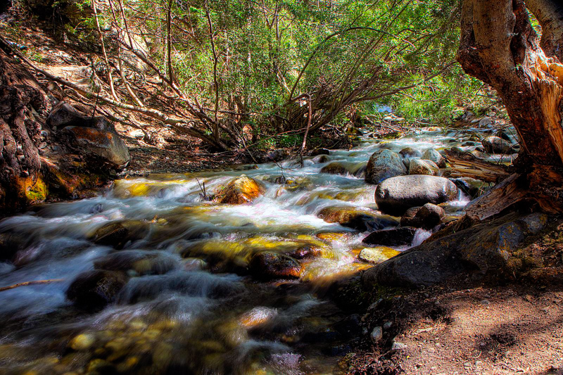 Zapata Falls Trail