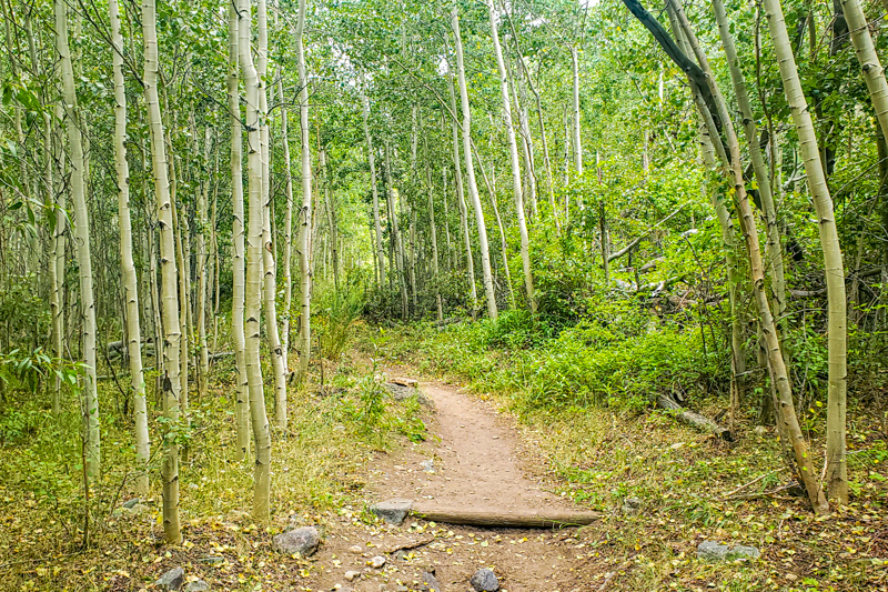 Montville Nature Trail