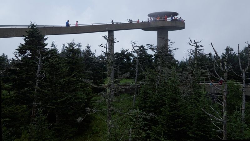 Clingmans Dome