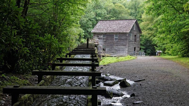 Mingus Mill