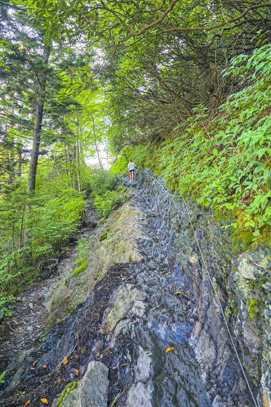 Mount LeConte via Alum Cave Trail
