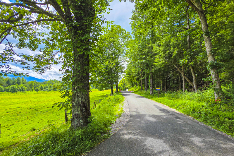Cades Cove Loop Road