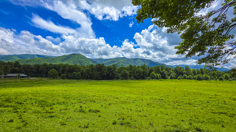 Cades Cove Loop Road