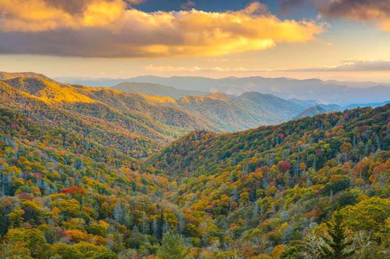Swinging Bridge Overlook