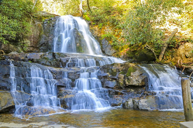 Laurel Falls