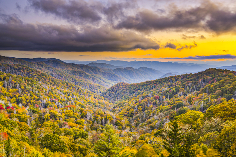 Swinging Bridge Overlook