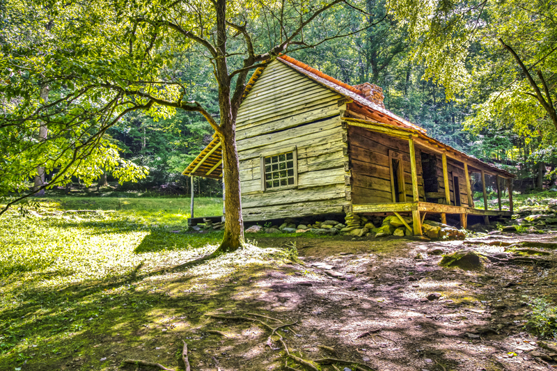Noah "Bud" Ogle Cabin
