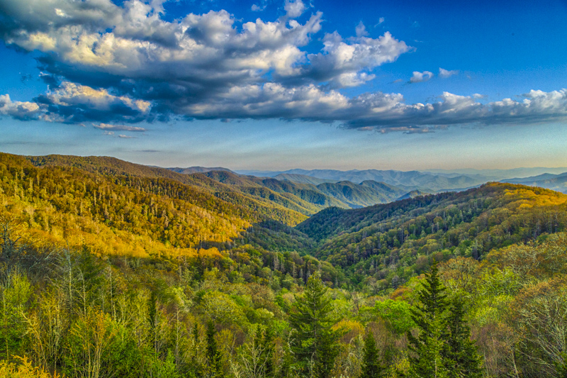 Swinging Bridge Overlook