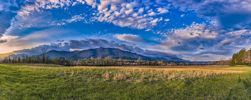 Cade Coves Loop Road