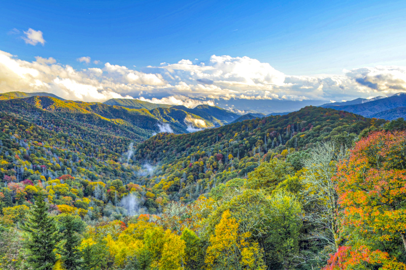 Charles A. Webb Overlook